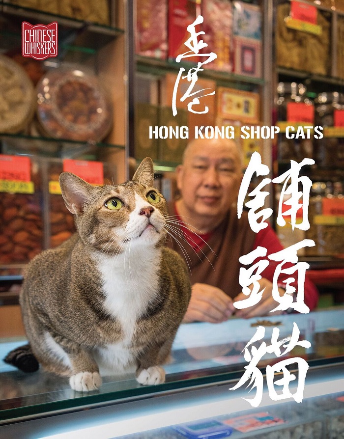 HK Shop Cats book cover