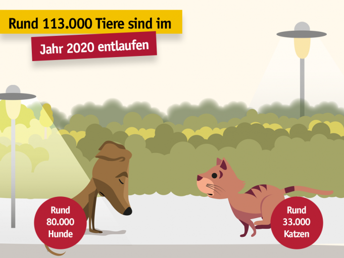 Mehr als 93.000 Wiedervereinigungen von Mensch und Tier zeigen – Kennzeichnung und Registrierung sind der beste Schutz enlaufene-tiere