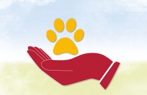 Aktion Trockene Pfoten – TASSO unterstützt Tiere und Halter in den Flutkatastrophengebieten in Deutschland Trockene-Pfoten Tasso