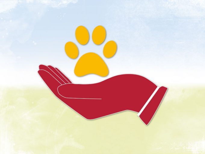 Aktion Trockene Pfoten – TASSO unterstützt Tiere und Halter in den Flutkatastrophengebieten in Deutschland Trockene-Pfoten Tasso