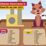 Beliebte-Katzennamen_2021_(c)TASSO-e-V