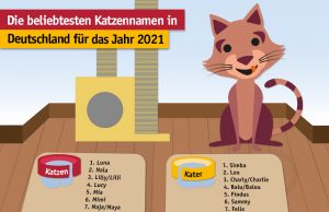 Luna und Balu bleiben unbesiegt