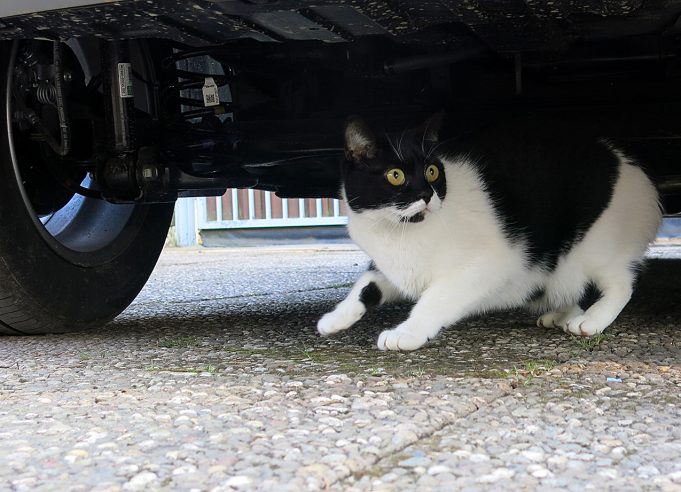 Verloren in einer fremden Welt