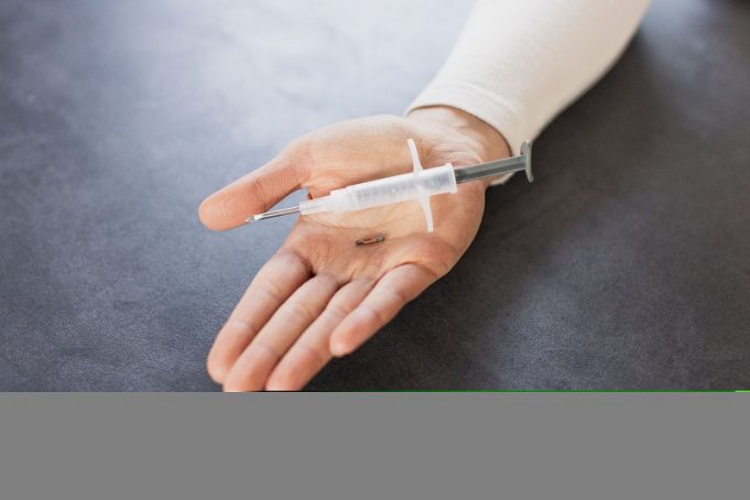 Hilfe für Flüchtlingstiere Tierschutzorganisation – TASSO spendet Transponder Transponder Tasso Messebericht