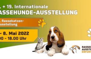 Über 2000 Hunde zur 18. + 19. Internationale Rassehunde-Ausstellung und 140 Katzen sind zur 9. Internationale Rassekatzen-Ausstellung zu sehen Veranstaltungsbild Katzenausstellung