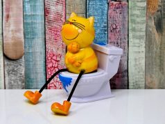 Können Sie Ihrer Katze beibringen, auf die Toilette zu gehen?