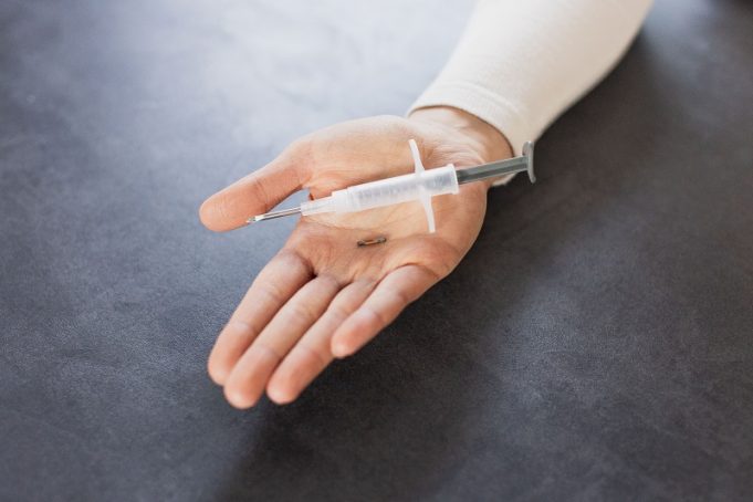 Tierkennzeichnung: Der Chip und was er wirklich kann TASSO e.V. Angelina Brücker