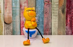 Katzenstreu-Alternativen: Eine umweltfreundliche Wahl für Ihre Katze Katzenklo