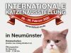 Internationale Katzenausstellung 2025: Ein Paradies für Katzenliebhaber in Neumünster Katzen-Ausstellung-Neumuenster-2025-