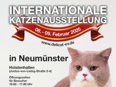 Internationale Katzenausstellung 2025: Ein Paradies für Katzenliebhaber in Neumünster Katzen-Ausstellung-Neumuenster-2025-