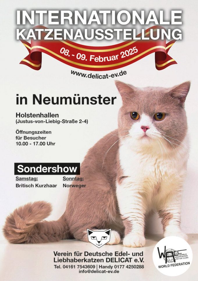 Internationale Katzenausstellung 2025: Ein Paradies für Katzenliebhaber in Neumünster Katzen-Ausstellung-Neumuenster-2025-