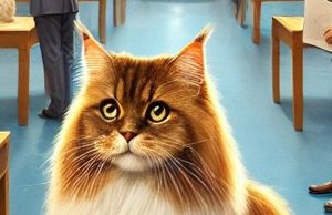 Internationale Katzenausstellung 2025 in Schönwalde-Glien Katzenausstellung